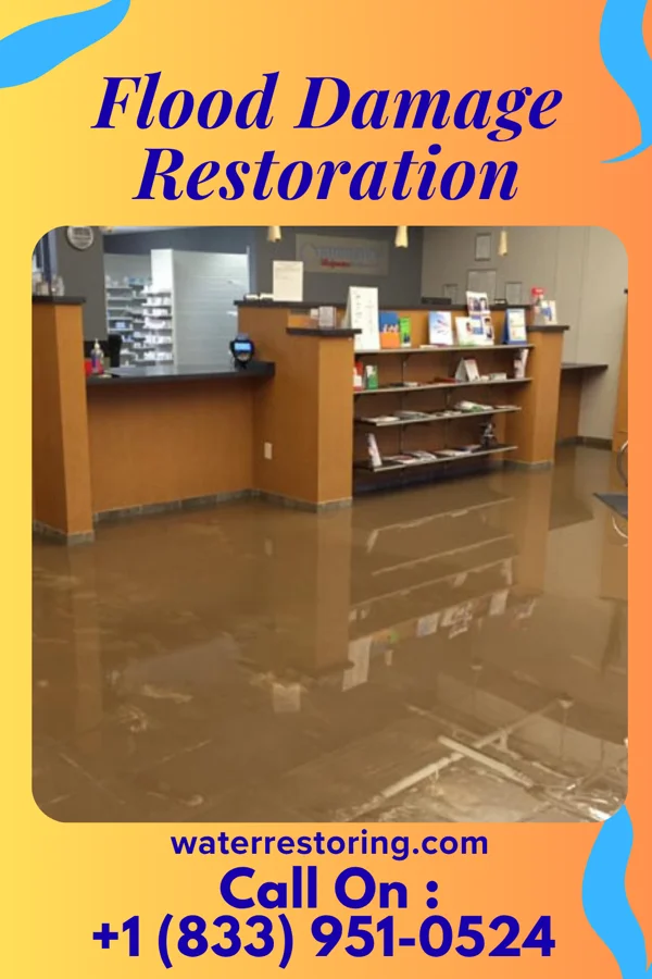 Flood Damage Restoration in Island Lake, IL