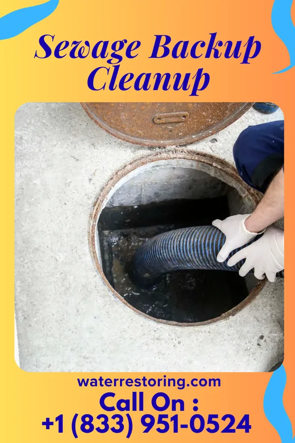 Sewage Backup Cleanup in Island Lake, IL