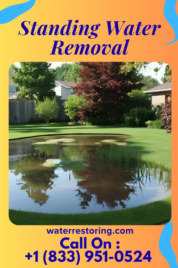 Standing Water Removal in Island Lake, IL